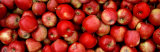 Close-up of Red Apples Reprodukcja zdjęcia autor Panoramic Images