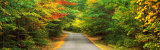 Road, White Mountain Forest, New Hampshire, USA Photographic Print by Panoramic Images 