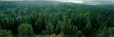 Finland, Aulanko, Scandinavian Forest Lámina fotográfica por Panoramic Images Finland, Aulanko, Scandinavian Forest Lámina fotográfica por Panoramic Images