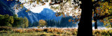 Half Dome, Yosemite National Park, California, USA Photographic Print by Panoramic Images 