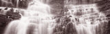 Waterfall, Glacier National Park, Montana, USA Photographic Print by Panoramic Images 