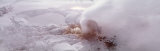 Bison Geyser, Yellowstone National Park, Wyoming, USA Photographic Print by Panoramic Images 