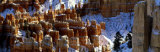 Winter, Bryce Canyon National Park, Utah, USA Photographic Print by Panoramic Images Winter, Bryce Canyon National Park, Utah, USA Photographic Print by Panoramic Images