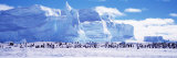 Panoramic Images - Emperor Penguin Colony, Ruser-Larsen Ice Shelf, Weddell Sea, Antarctica - Fotografik Baskı Panoramic Images - Emperor Penguin Colony, Ruser-Larsen Ice Shelf, Weddell Sea, Antarctica - Fotografik Baskı