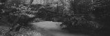 Four Hole Swamp, Francis Biedler Forest, South Carolina, USA Photographic Print by Panoramic Images 