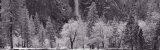 Yosemite Park, California, USA Photographic Print by Panoramic Images Yosemite Park, California, USA Photographic Print by Panoramic Images