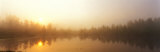 Misty Morning, Volvo Bog, Illinois, USA Photographic Print by Panoramic Images 