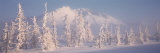 Snow Covered Landscape, Hoarfrost on Trees, Chugach Mountains, Alaska, USA Lámina fotográfica por Panoramic Images Snow Covered Landscape, Hoarfrost on Trees, Chugach Mountains, Alaska, USA Lámina fotográfica por Panoramic Images