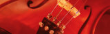 Colored Lights, Close-up of a Violin Photographic Print by Panoramic Images 