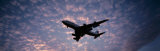 Boeing 747 Airplane in Flight Against Evening Clouds Reprodukcja zdjęcia autor Panoramic Images Boeing 747 Airplane in Flight Against Evening Clouds Reprodukcja zdjęcia autor Panoramic Images