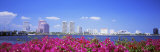 Panoramic View of the Waterfront and Skyline, West Palm Beach, Florida, USA Photographic Print by Panoramic Images 