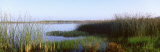 Pond, Half Moon Bay, California, USA Photographic Print by Panoramic Images 
