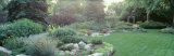 Plants in a Garden, Backyard Suburban Garden, Illinois, USA Photographic Print by Panoramic Images 