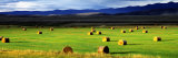 Haystacks, Field, Jackson County, Colorado, USA Lámina fotográfica por Panoramic Images