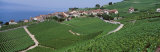 Lake of Geneva, Vineyards, Rivaz, Switzerland Photographic Print by Panoramic Images