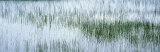 Reed Filled Pond, Isle of Mull, Scotland, United Kingdom Lámina fotográfica por Panoramic Images Reed Filled Pond, Isle of Mull, Scotland, United Kingdom Lámina fotográfica por Panoramic Images