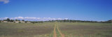 Tire Tracks on a Field, Canyonlands National Park, Utah, USA Lámina fotográfica por Panoramic Images
