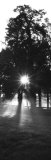 Sunrise, Fog, Woodford Co, Kentucky, USA Photographic Print by Panoramic Images 