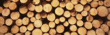 Marked Wood in a Timber Industry, Black Forest, Germany Photographic Print by Panoramic Images 