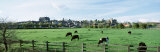 Arundel Skyline, West Sussex, England, United Kingdom Photographic Print by Panoramic Images Arundel Skyline, West Sussex, England, United Kingdom Photographic Print by Panoramic Images