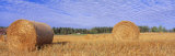 Straw Rolls, Sweden Photographic Print by Panoramic Images 
