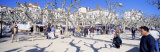 Boule, French Riviera, Cannes, France Photographic Print by Panoramic Images 