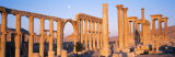 Ruins, Palmyra, Syria Photographic Print by Panoramic Images 