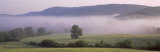 View of Mist Over a Hillside, Tuscany, Italy Lámina fotográfica por Panoramic Images