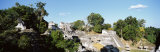 Old Temple in the Forest, Tikal, Guatemala Photographie par Panoramic Images 