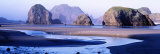 Sea Stacks, Myers Creek Oregon, USA Reprodukcja zdjęcia autor Panoramic Images Sea Stacks, Myers Creek Oregon, USA Reprodukcja zdjęcia autor Panoramic Images