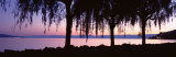 Weeping Willows, Lake Geneva, St. Saphorin, Switzerland Lámina fotográfica por Panoramic Images