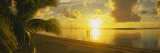Silhouette of a Couple Standing on the Beach, Aitutaki, Cook Islands, French Polynesia Photographic Print by Panoramic Images 
