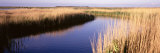 Ringkobing Fjord, Jutland, Denmark Lámina fotográfica por Panoramic Images Ringkobing Fjord, Jutland, Denmark Lámina fotográfica por Panoramic Images