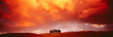 Sunset, Tuscany, Val d'Orcia, Italy Photographic Print by Panoramic Images 