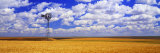 Windmill Wheat Field, Othello, Washington State, USA Fotografie-Druck von Panoramic Images 