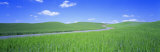 Wheat Field Gravel Road, Whitman County, Washington State, USA Photographic Print by Panoramic Images 