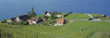 Aerial View of Vineyards by a Lake, Lake Geneva, Vaud, Switzerland Photographic Print by Panoramic Images