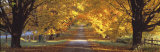 Road, Baltimore County, Maryland, USA Reprodukcja zdjęcia autor Panoramic Images