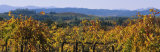 High Angle View of a Field, Alexander Valley, Napa, California, USA Photographic Print by Panoramic Images 