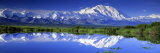 Alaska Range, Denali National Park, Alaska, USA Fotografie-Druck von Panoramic Images 