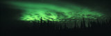 View of the Northern Lights, Aurora Borealis, Fairbanks, Alaska, USA Photographie par Panoramic Images 