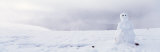 Snowman in a Winter Landscape, Kneeland, California, USA Photographic Print by Panoramic Images 