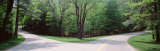 Fork in a Road Surrounded by Trees, Park Road, Letchworth State Park, New York State, USA Lámina fotográfica por Panoramic Images Fork in a Road Surrounded by Trees, Park Road, Letchworth State Park, New York State, USA Lámina fotográfica por Panoramic Images