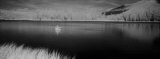 Person Fishing from Boat in Lake Photographie par Panoramic Images 