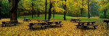 Robert Treman State Park, New York State, USA Photographic Print by Panoramic Images 