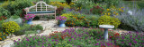 Park Bench in the Garden Photographic Print by Panoramic Images