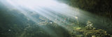 Sunbeams Shining on Rocks, Belize Photographie par Panoramic Images 