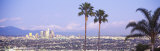 Cityscape, Los Angeles, California, USA Photographic Print by Panoramic Images 