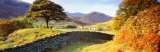 Lake District, United Kingdom Reprodukcja zdjęcia autor Panoramic Images