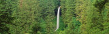 Waterfall, Silver Falls State Park, Oregon, USA Photographic Print by Panoramic Images 